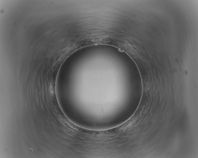 X0000074291106200609011400