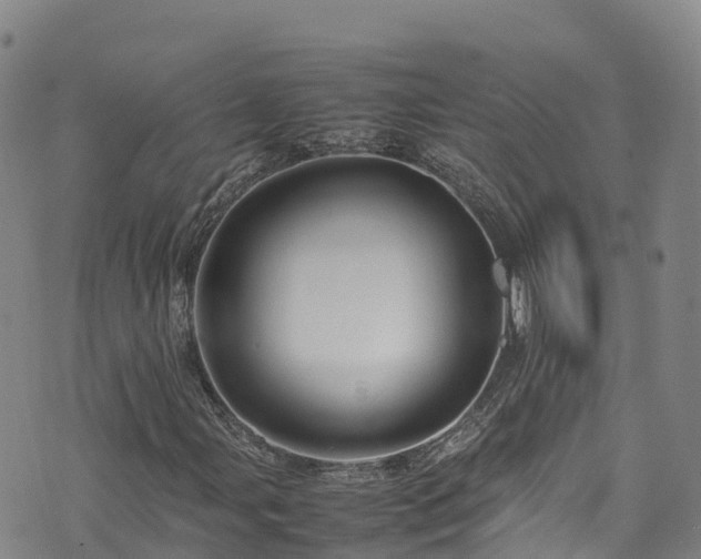 X0000074291107200609011400