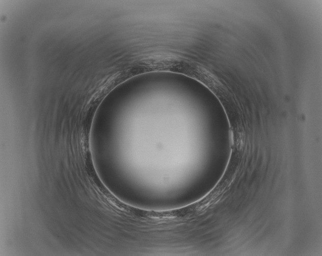 X0000074291108200609011400