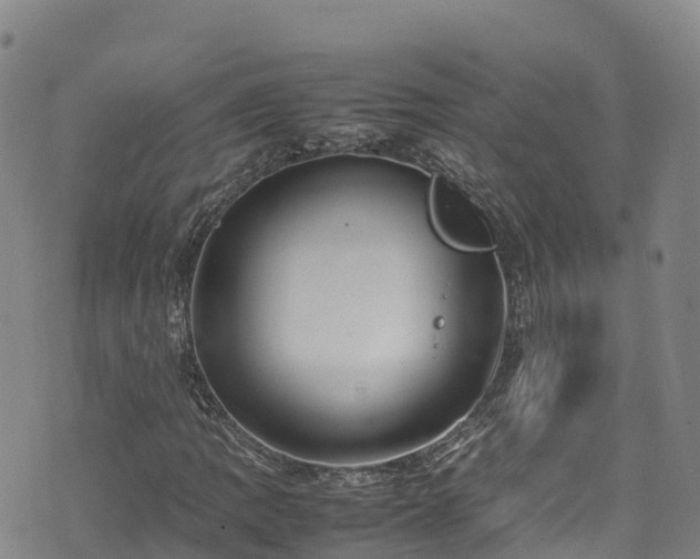 X0000074291109200609011400