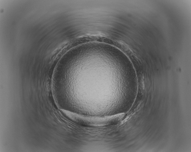 X0000074291110200609011400