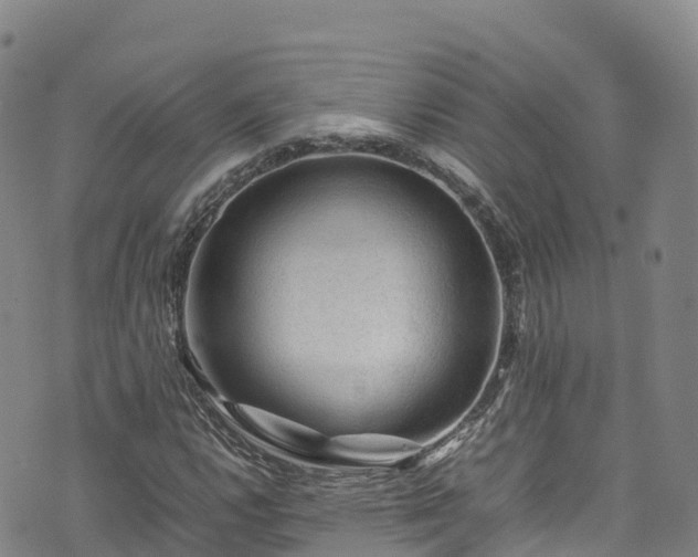 X0000074291112200609011400