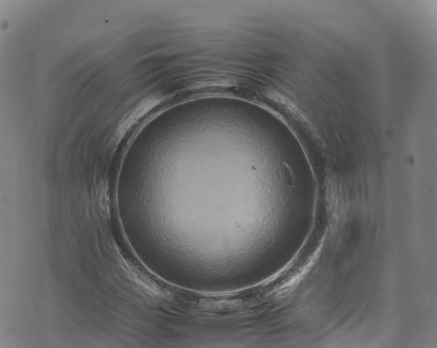 X0000074291113200609011400