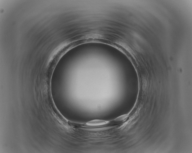 X0000074291115200609011400