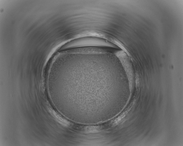 X0000074291116200609011400