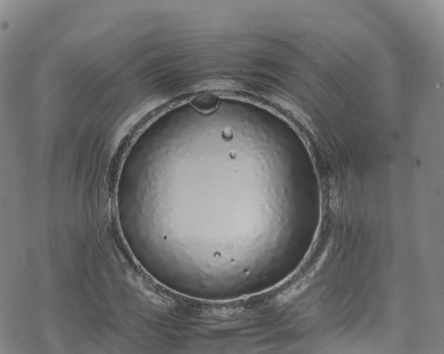 X0000074291117200609011400