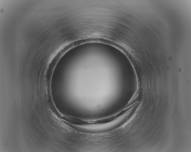 X0000074291118200609011400