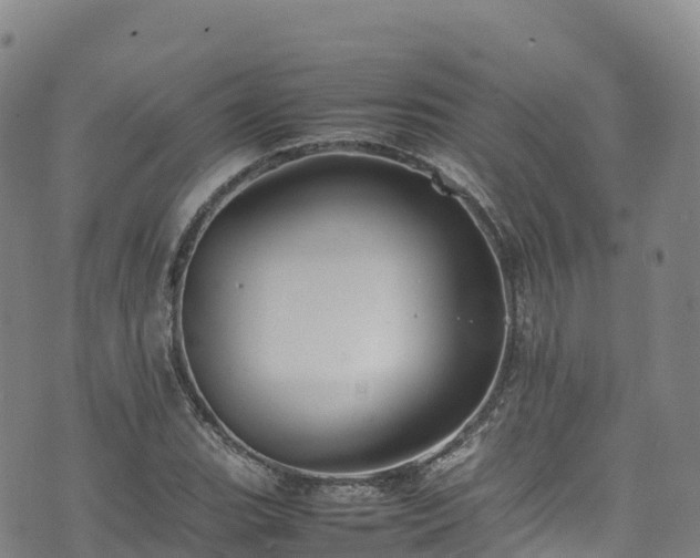 X0000074291119200609011400