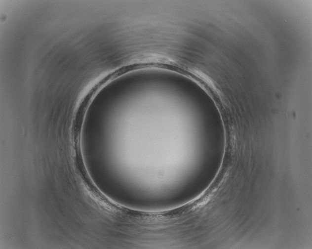 X0000074291120200609011400