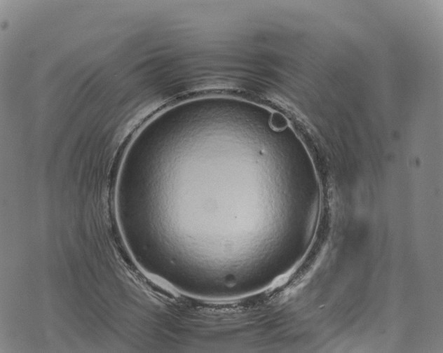 X0000074291121200609011400