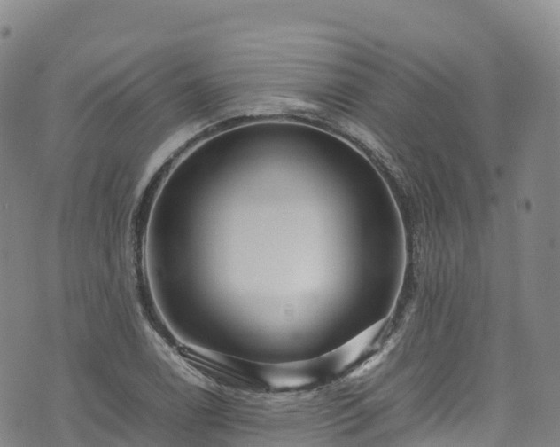 X0000074291122200609011400