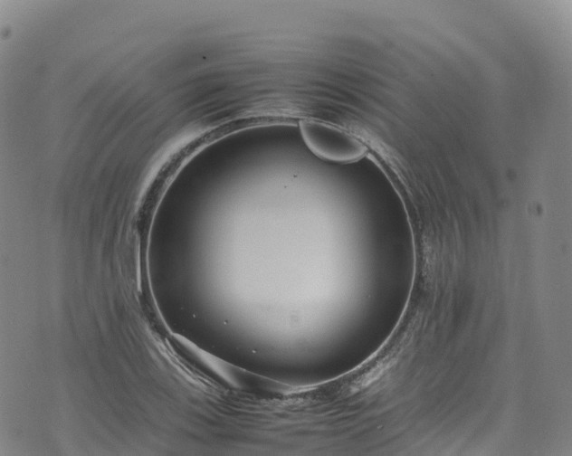 X0000074291123200609011400