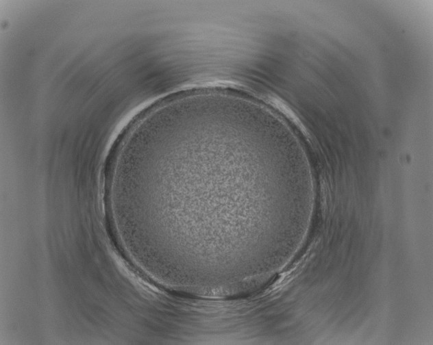 X0000074291124200609011400