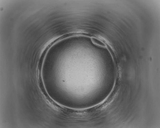 X0000074291125200609011400