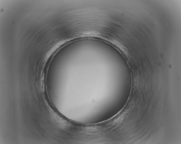 X0000074291126200609011400