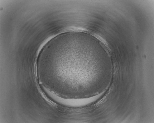 X0000074291128200609011400