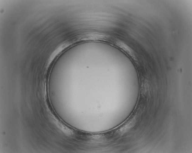 X0000074291130200609011400