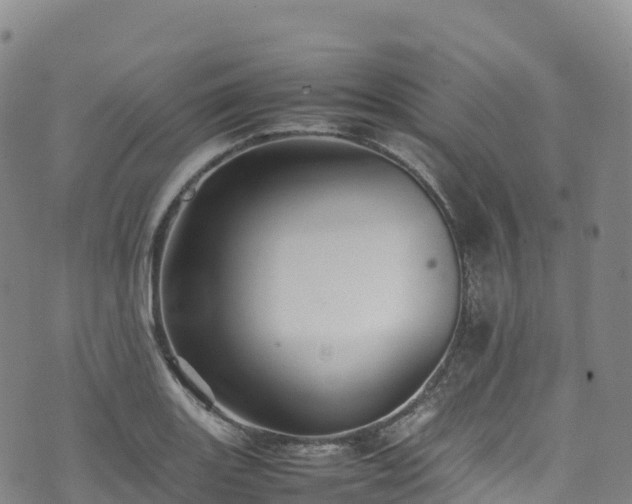 X0000074291131200609011400