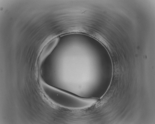 X0000074291132200609011400