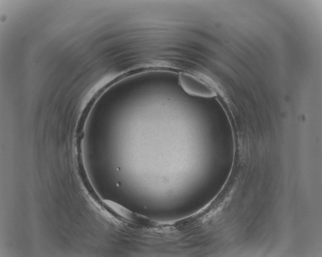 X0000074291133200609011400