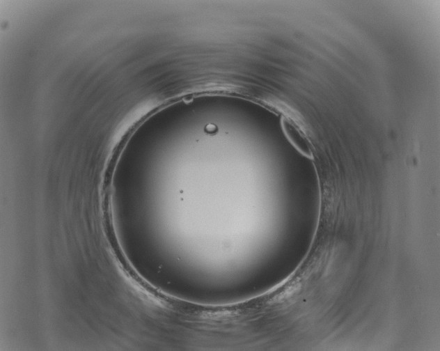 X0000074291135200609011400