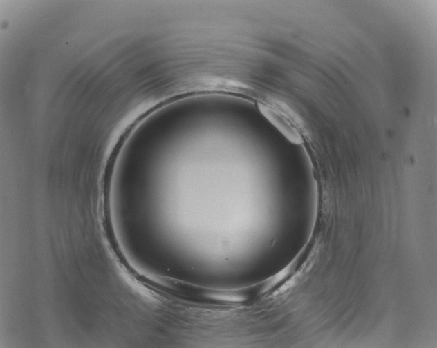 X0000074291136200609011400