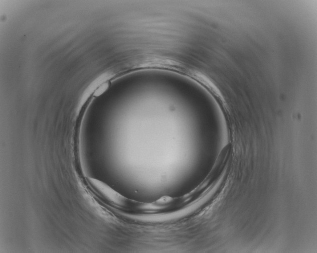 X0000074291138200609011400