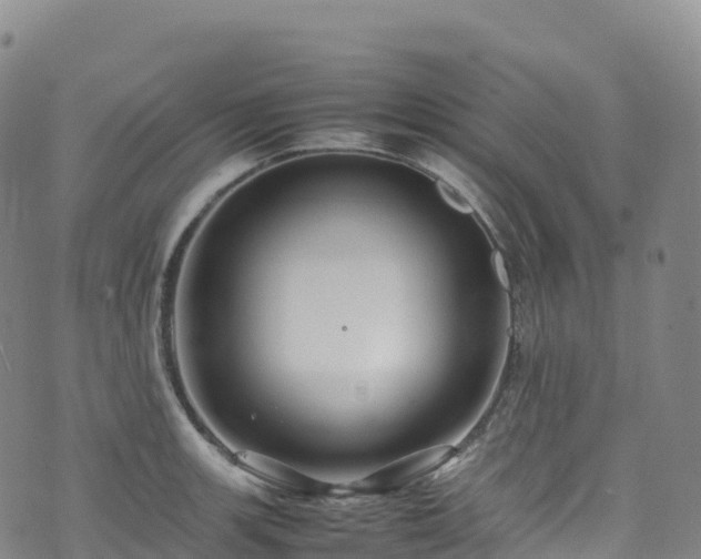 X0000074291139200609011400