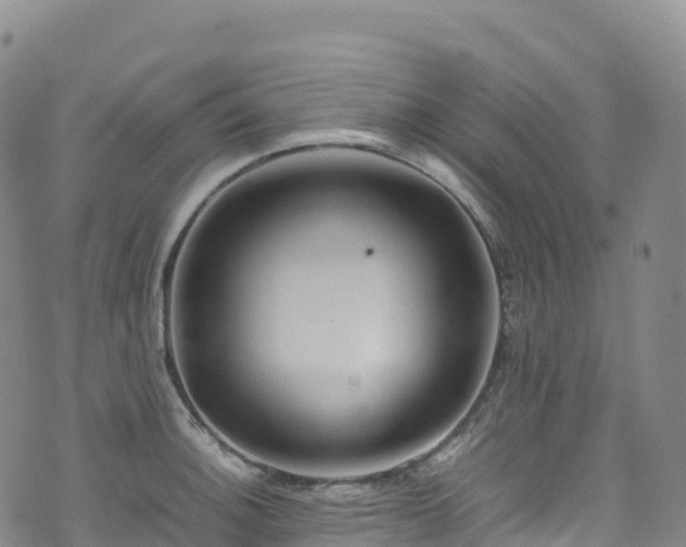 X0000074291140200609011400