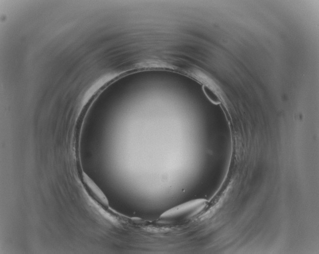 X0000074291141200609011400