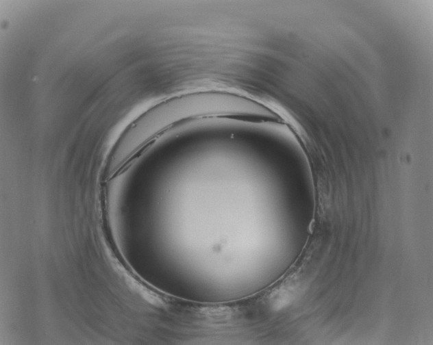 X0000074291142200609011400