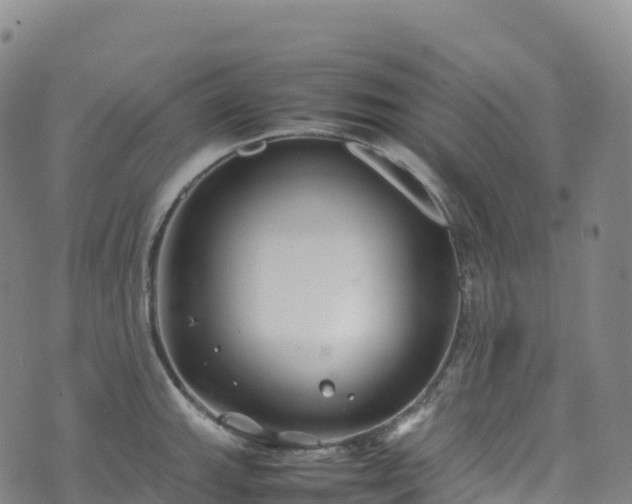 X0000074291143200609011400