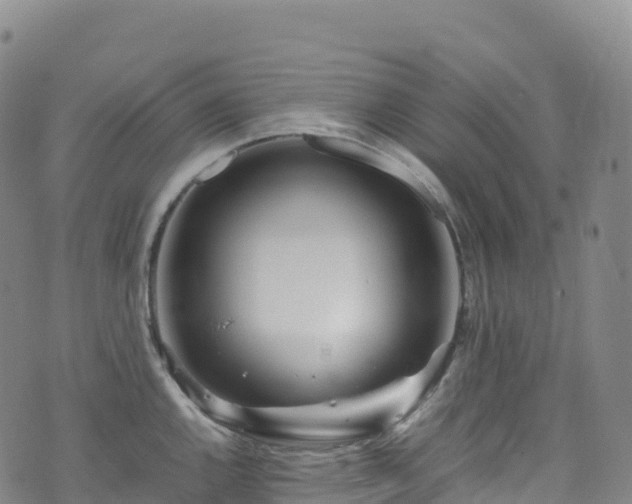 X0000074291144200609011400