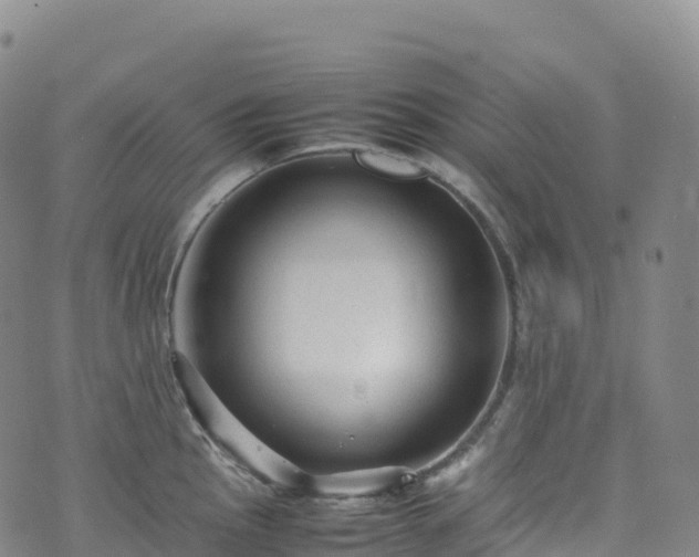 X0000074291145200609011400