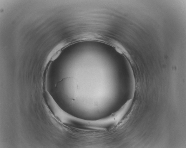 X0000074291146200609011400