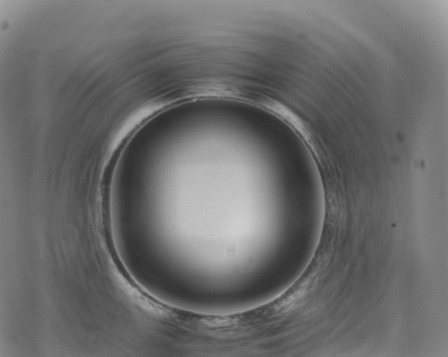 X0000074291147200609011400