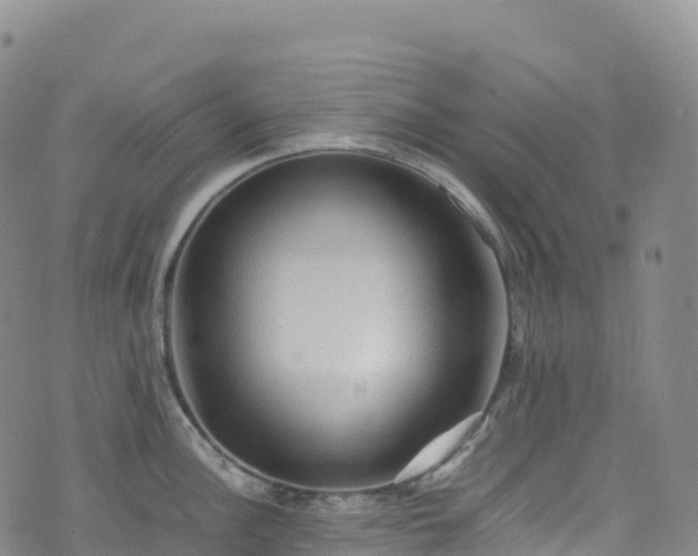 X0000074291148200609011400