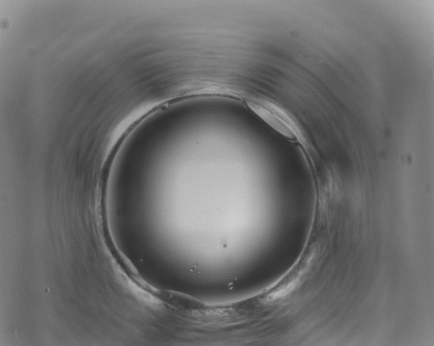 X0000074291149200609011400