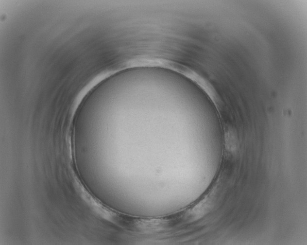 X0000074291150200609011400