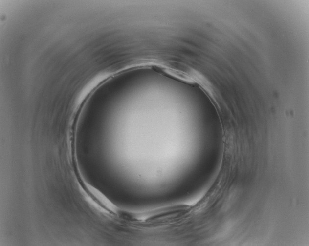 X0000074291151200609011400