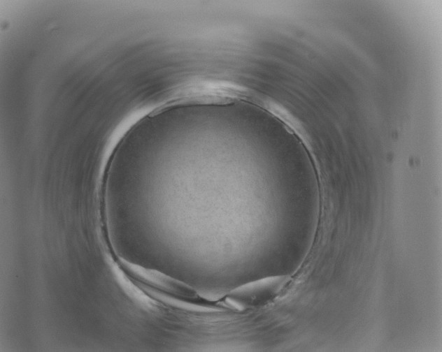 X0000074291152200609011401