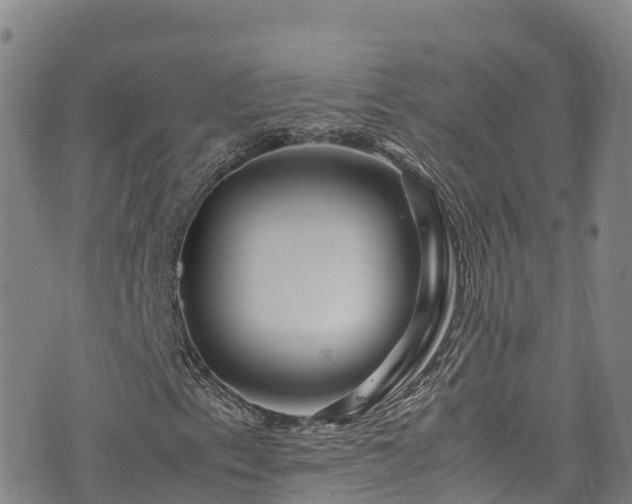 X0000074291153200609011400