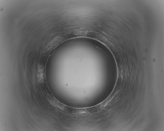 X0000074291154200609011400