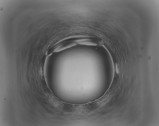 X0000074291155200609011400