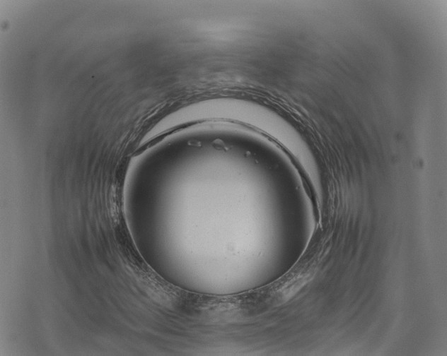 X0000074291156200609011400