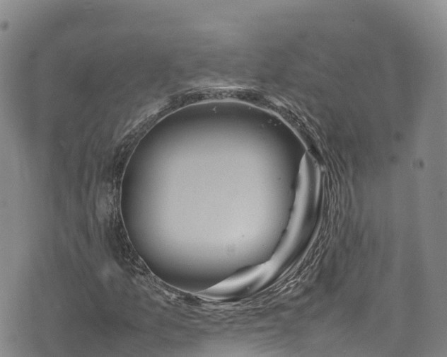 X0000074291157200609011400