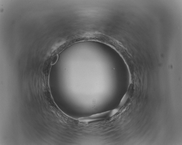 X0000074291158200609011400