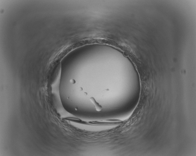 X0000074291159200609011400