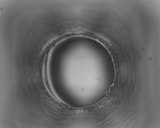 X0000074291160200609011400