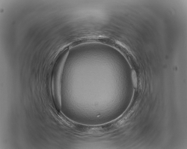 X0000074291161200609011400